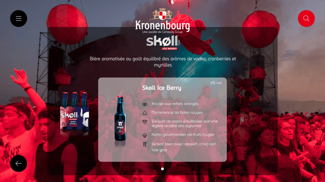 B2B Digital Sales Portfolio for the Kronenbourg Sales Force